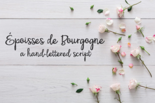 PN Époisses De Bourgogne: A Web Designer’s Font Choice